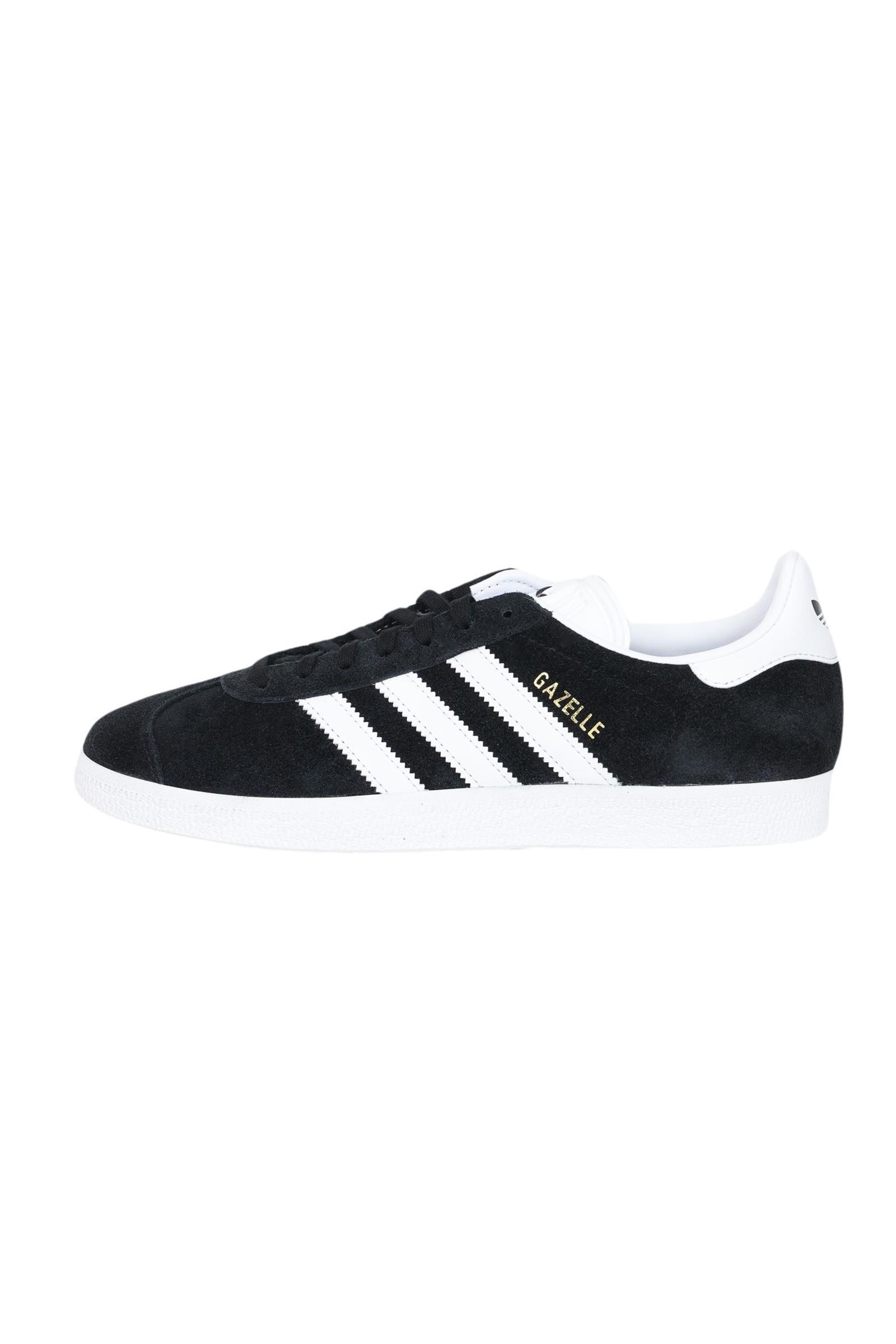 img-270045-1034-1