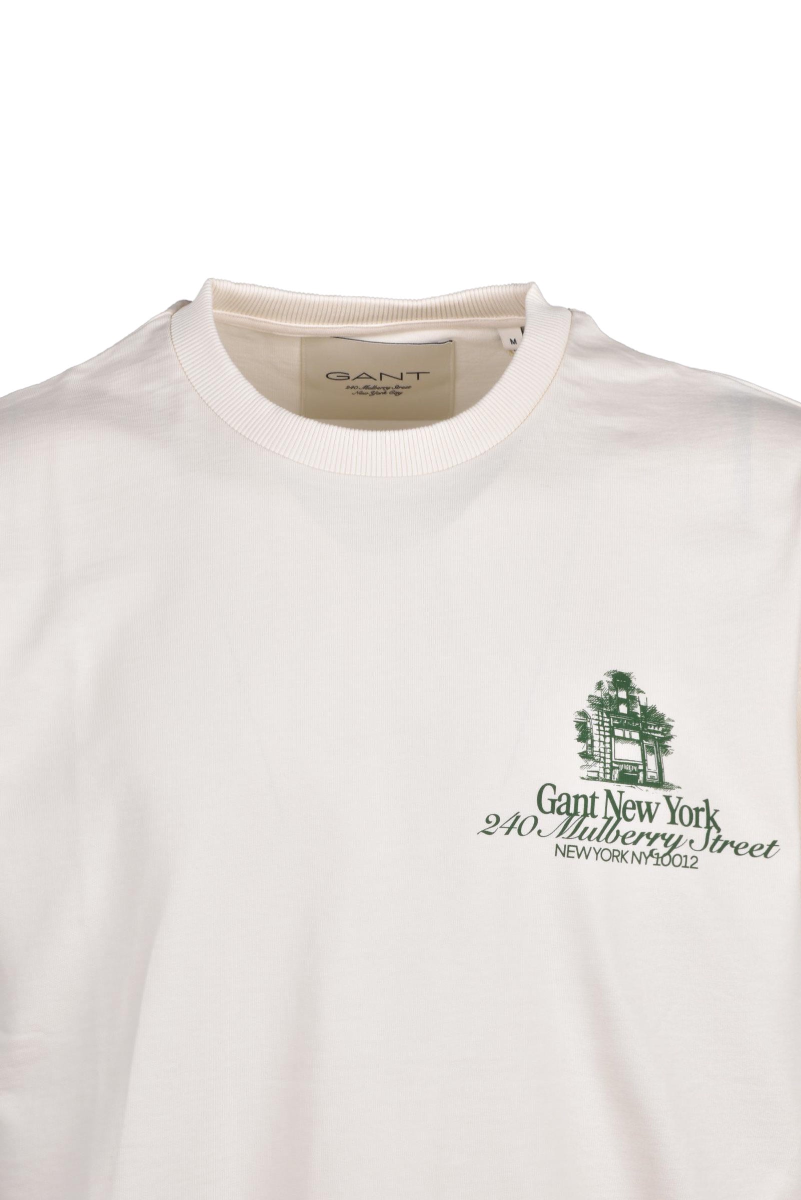 img-271443-1049-3